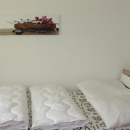 Helles Appartement Im Allgau Leutkirch im Allgäu Kültér fotó